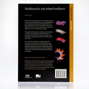 Nudibranchs and Related Molluscs