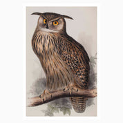Melbourne Museum Rare Book Postcard