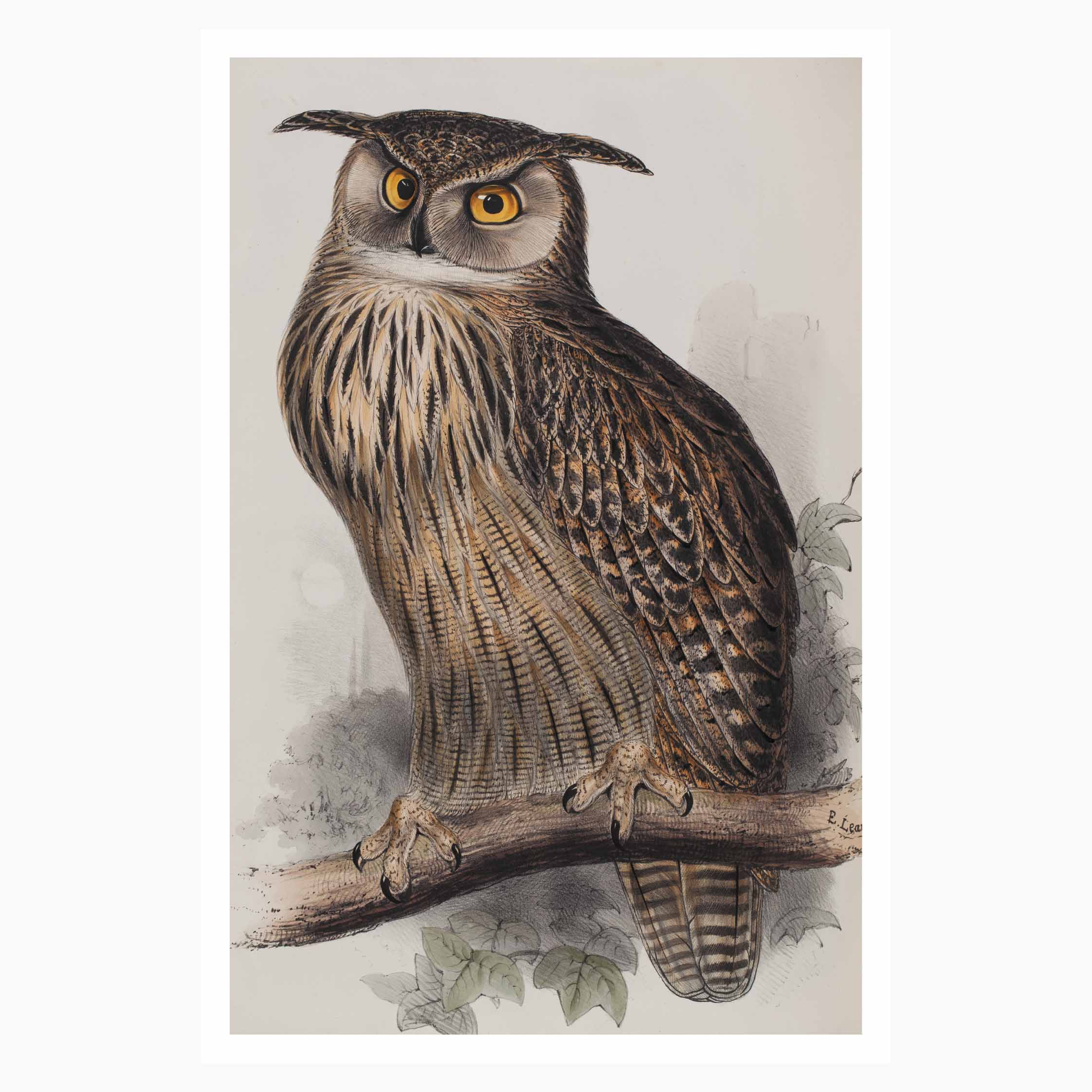 Melbourne Museum Rare Book Postcard
