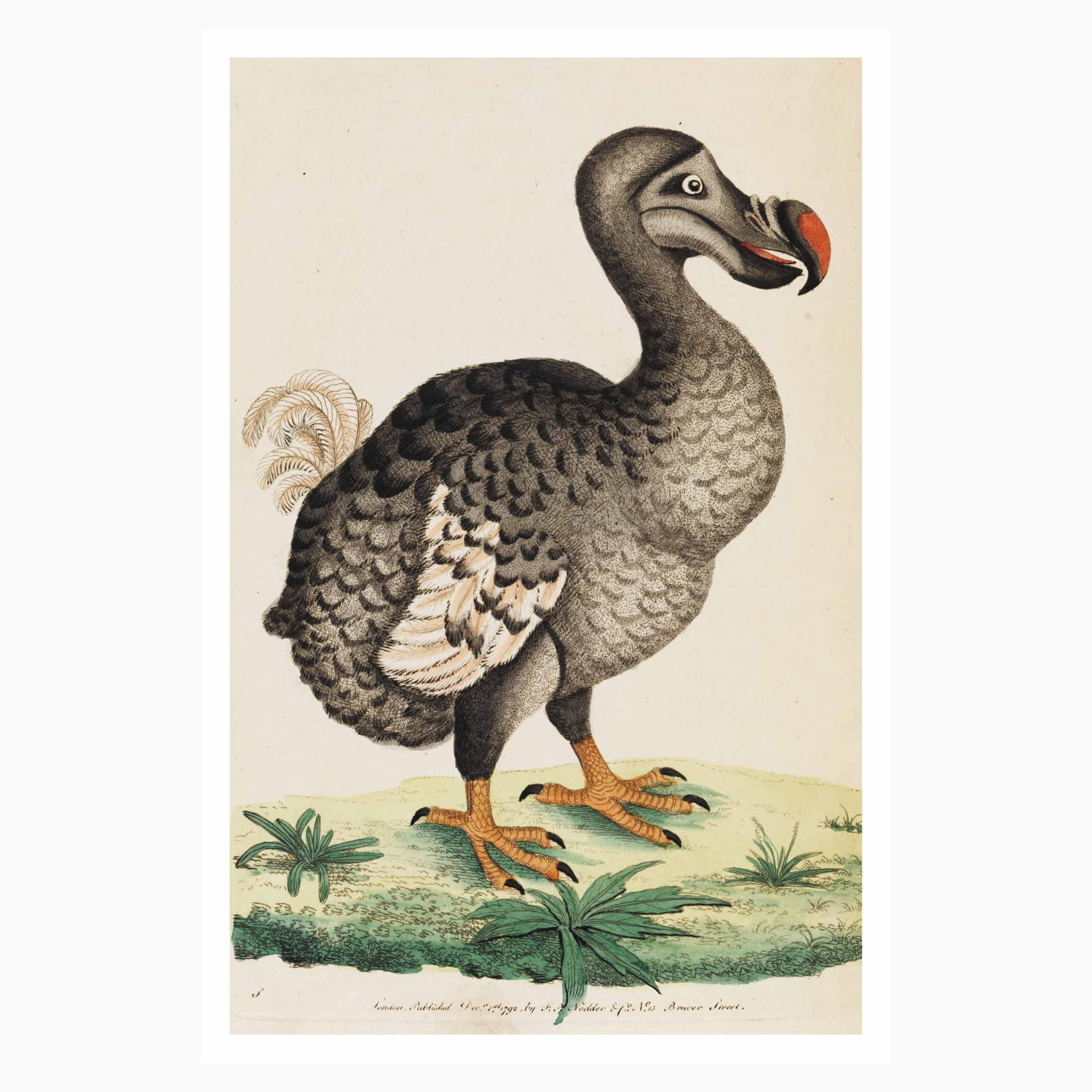 Online_Store_Postcard_120x180_Border_AMEND01_FA5.jpg