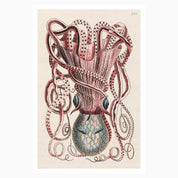 Melbourne Museum Rare Book Postcard