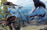 Prehistoric Marine Life in Australia's Inland Sea