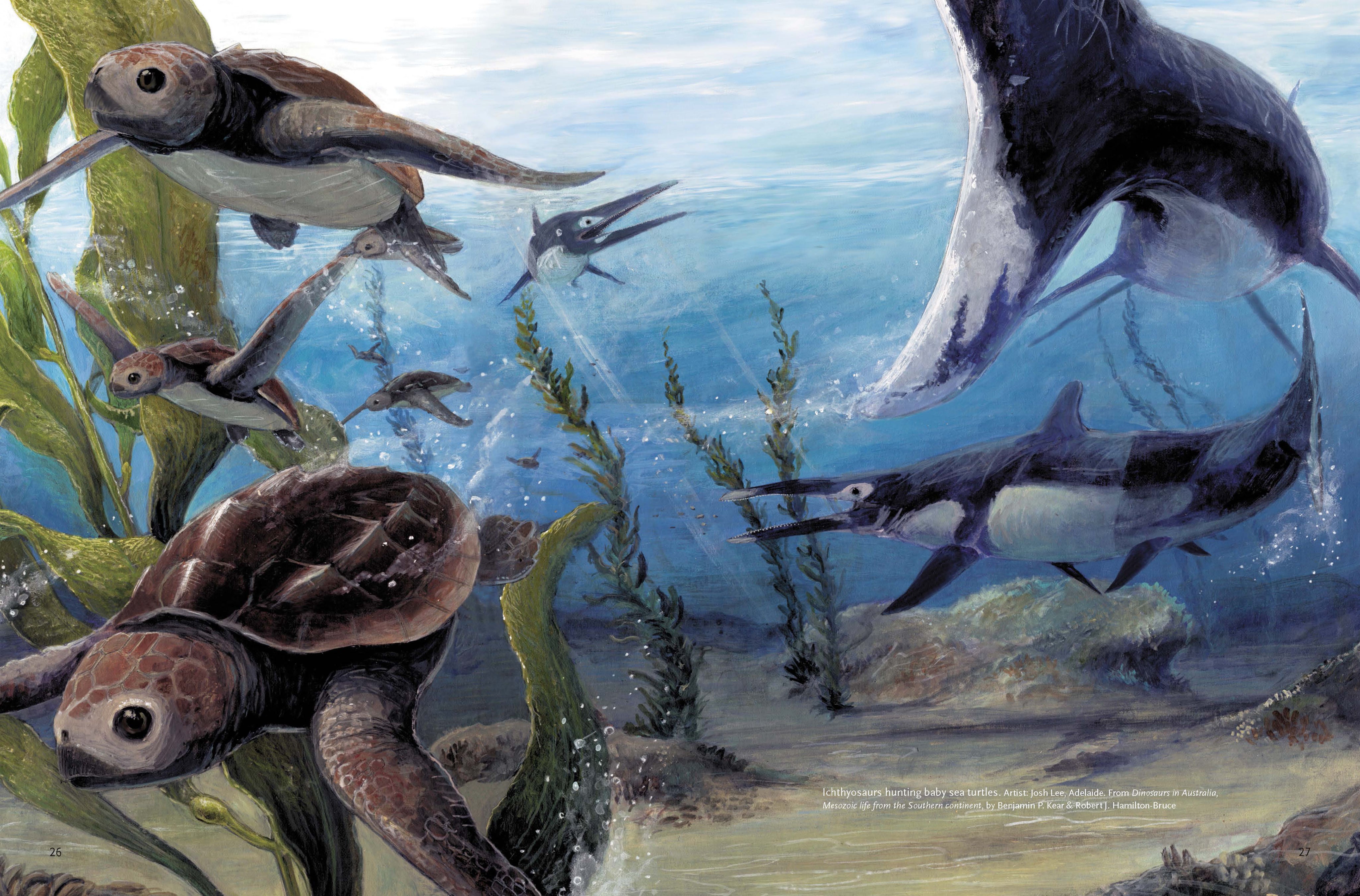 Prehistoric Marine Life in Australia's Inland Sea
