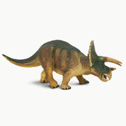 Small Triceratops Replica
