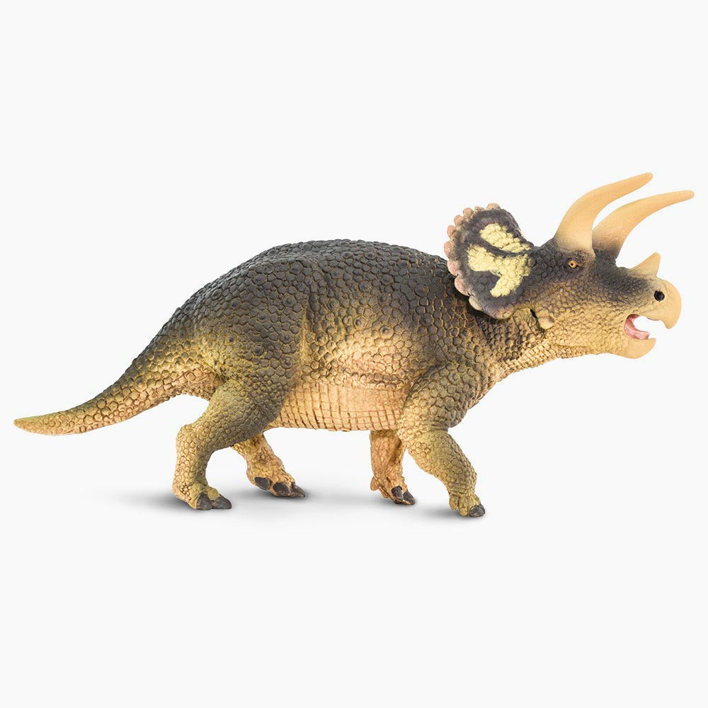 Triceratops Replica