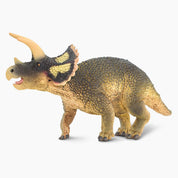 Triceratops Replica