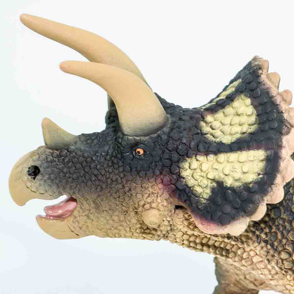 Triceratops Replica