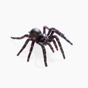 Spiders and Scorpions