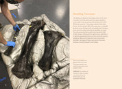 Triceratops: A Natural History