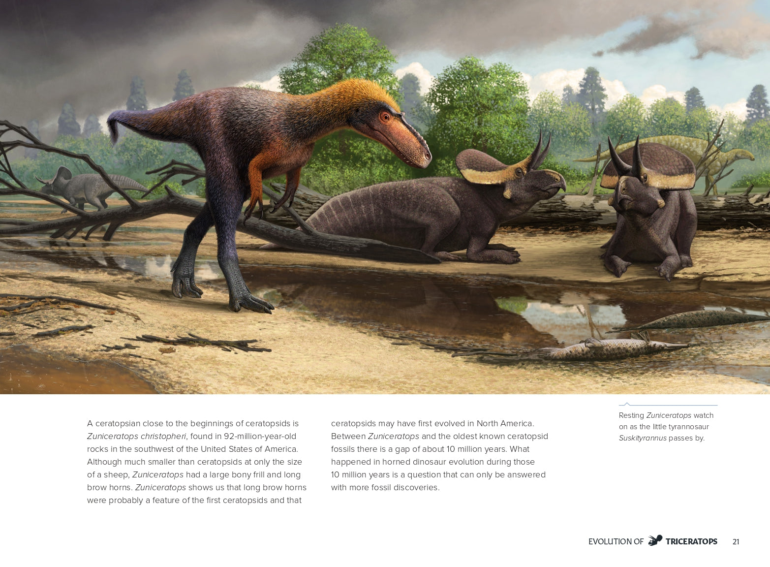 Triceratops: A Natural History