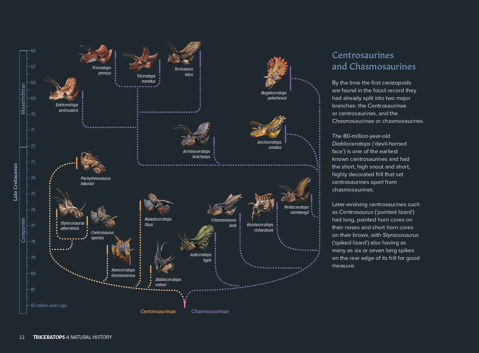Triceratops: A Natural History