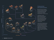 Triceratops: A Natural History