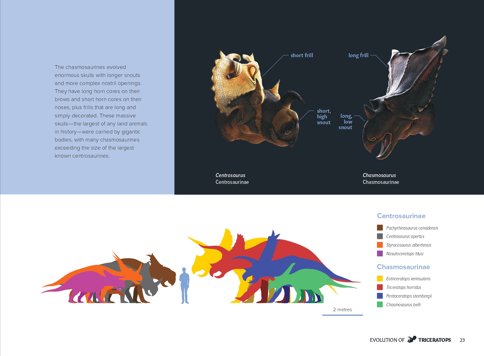 Triceratops: A Natural History