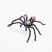 Spiders and Scorpions