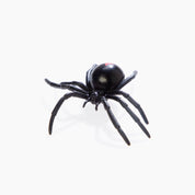 Spiders and Scorpions