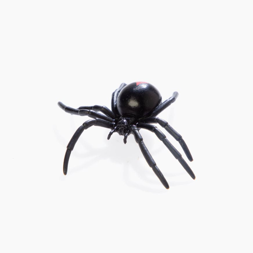 Spiders and Scorpions