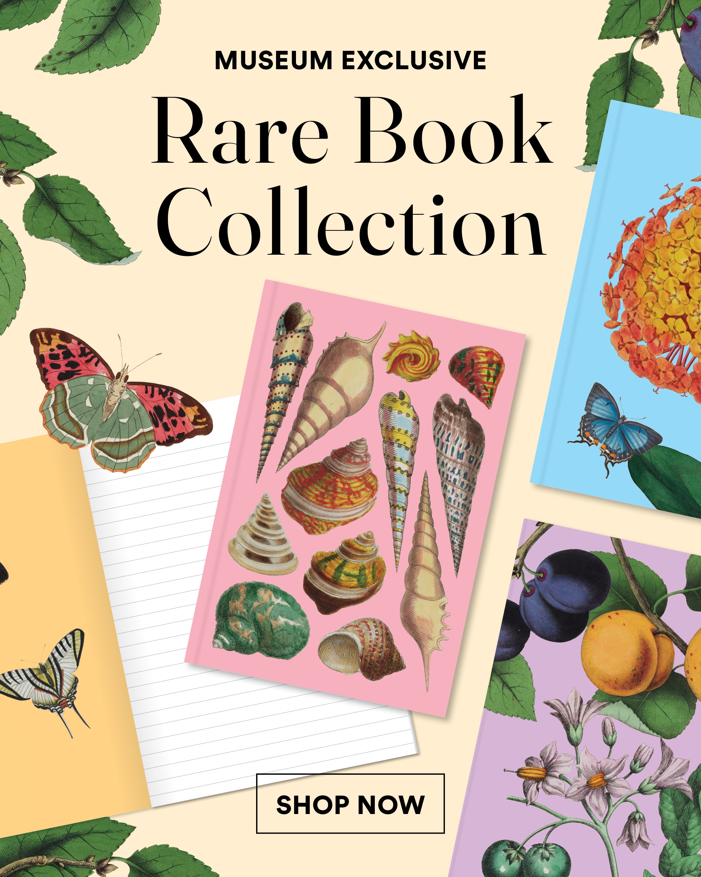 Rare Book Collection – Museums Victoria Store