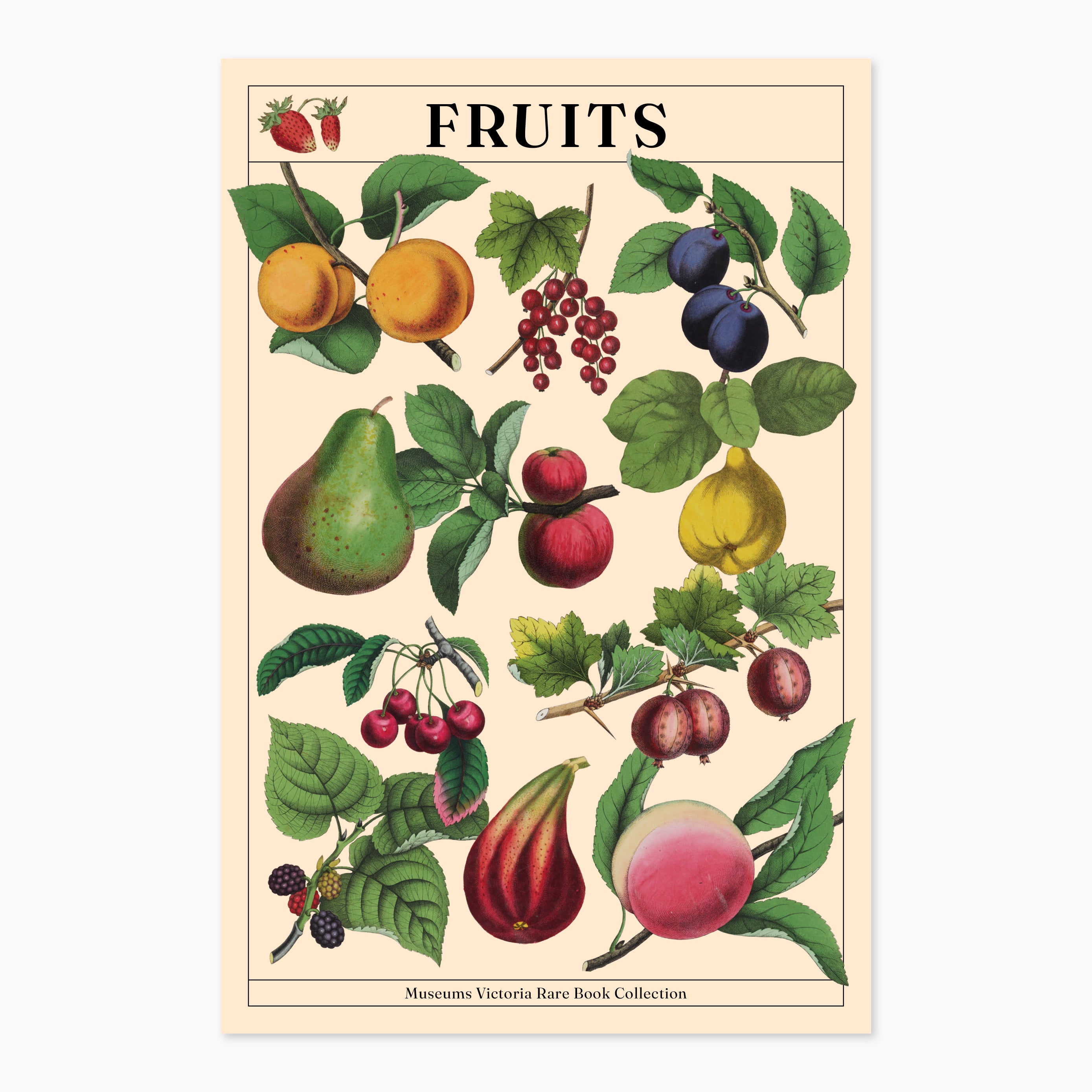 154_MM216353_RareBookRefresh_Postcards3_WEB_1.jpg