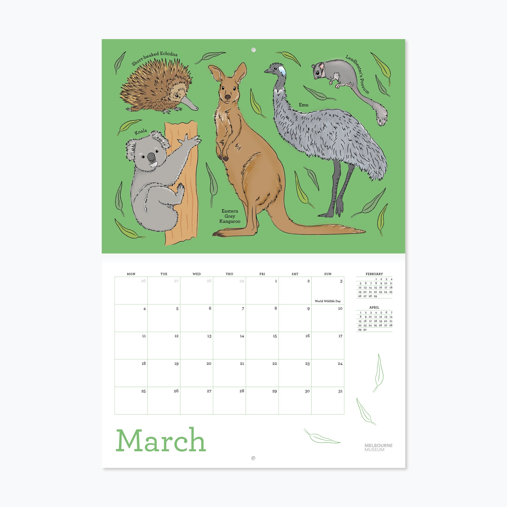 Melbourne Museum Calendar 2025 Museums Victoria Store