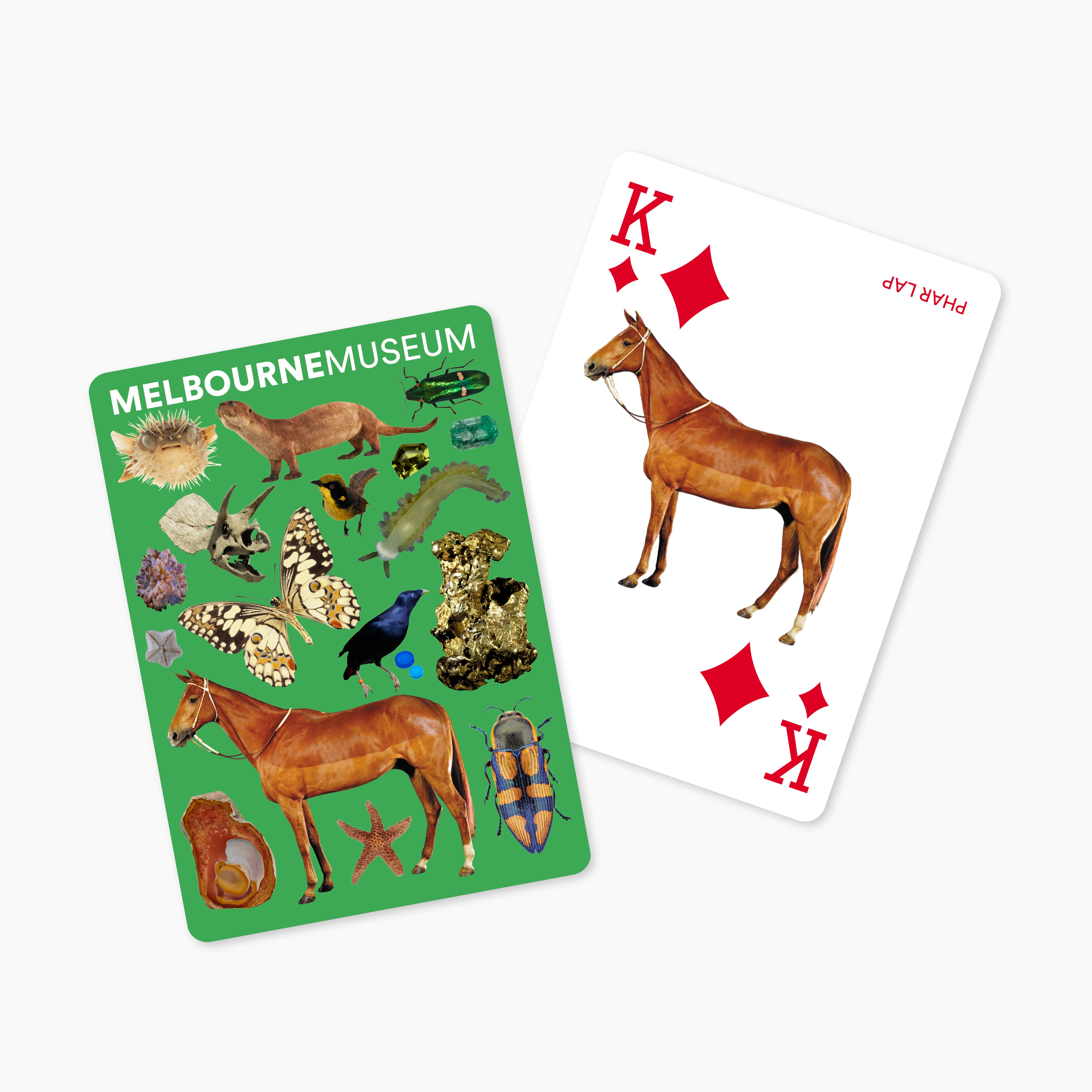154_MM246171_TouristRangeUpdates_PlayingCards_WEB3.jpg