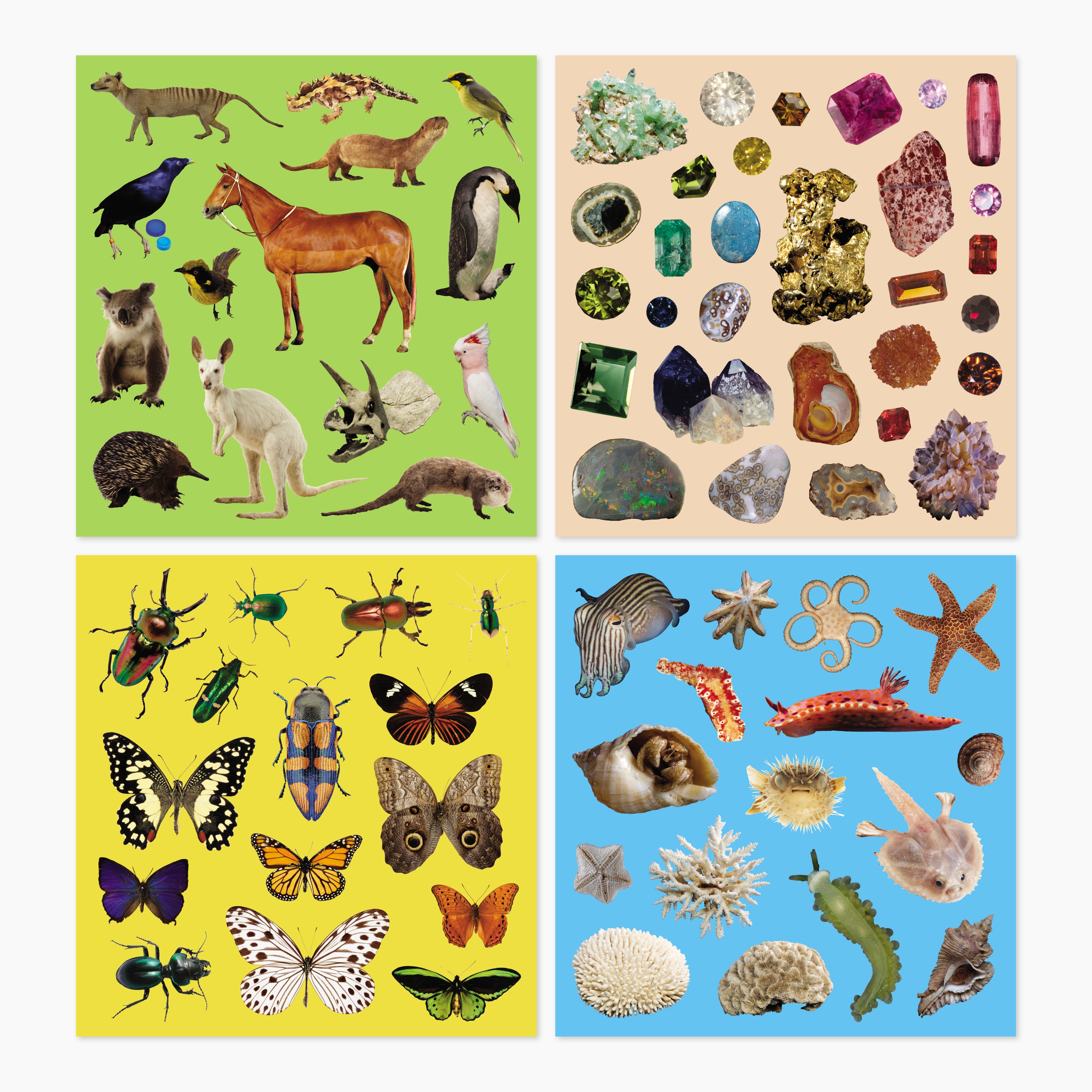 154_MM246171_TouristRangeUpdates_StickerSet_WEB.jpg