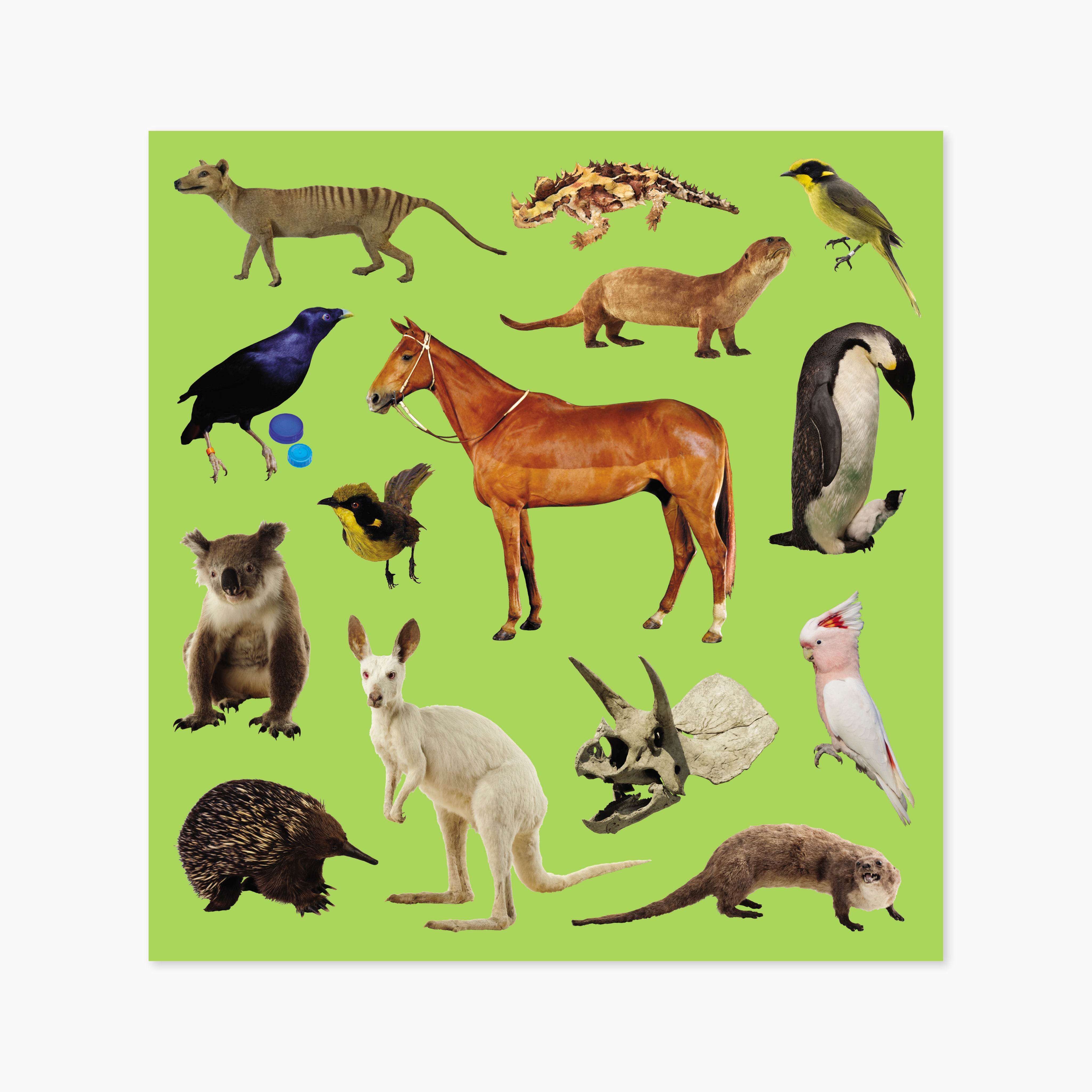 154_MM246171_TouristRangeUpdates_StickerSet_WEB2.jpg