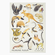 Wild Wonders Tea Towel