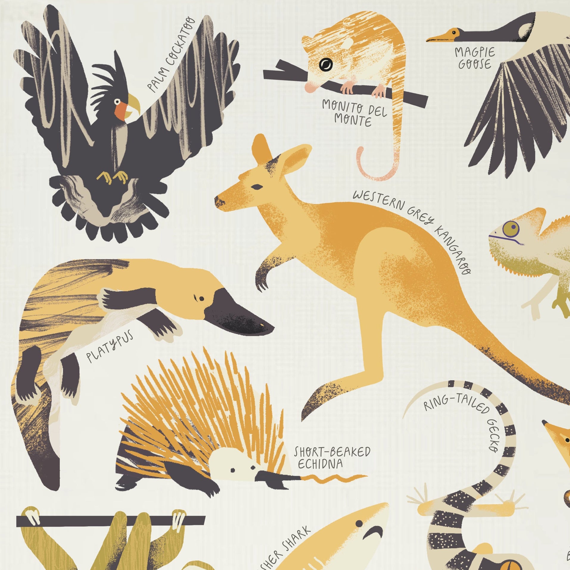 Illustration of various animals with labels on a white background, featuring the Melbourne Museum logo.