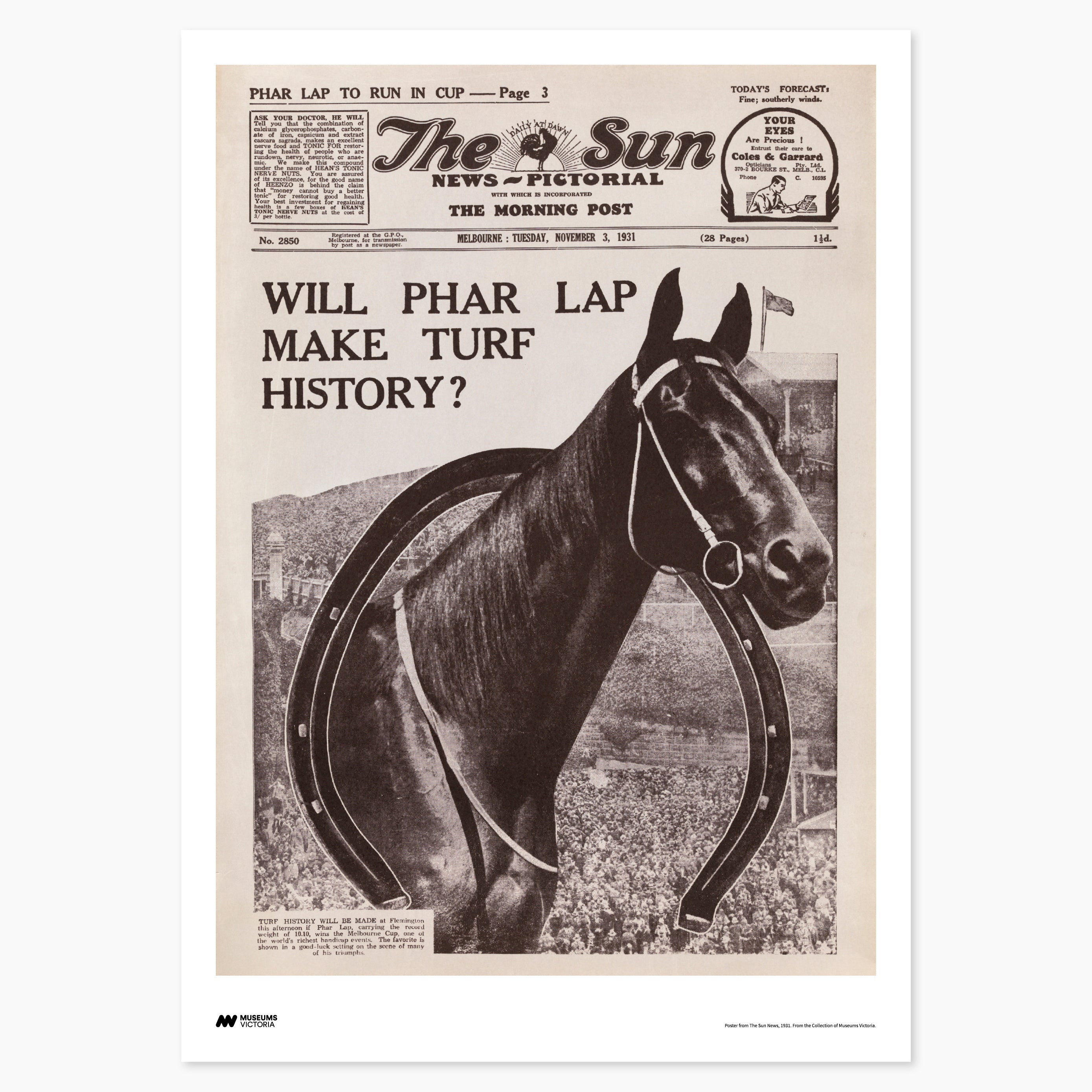 Turf History Phar Lap Print - A2