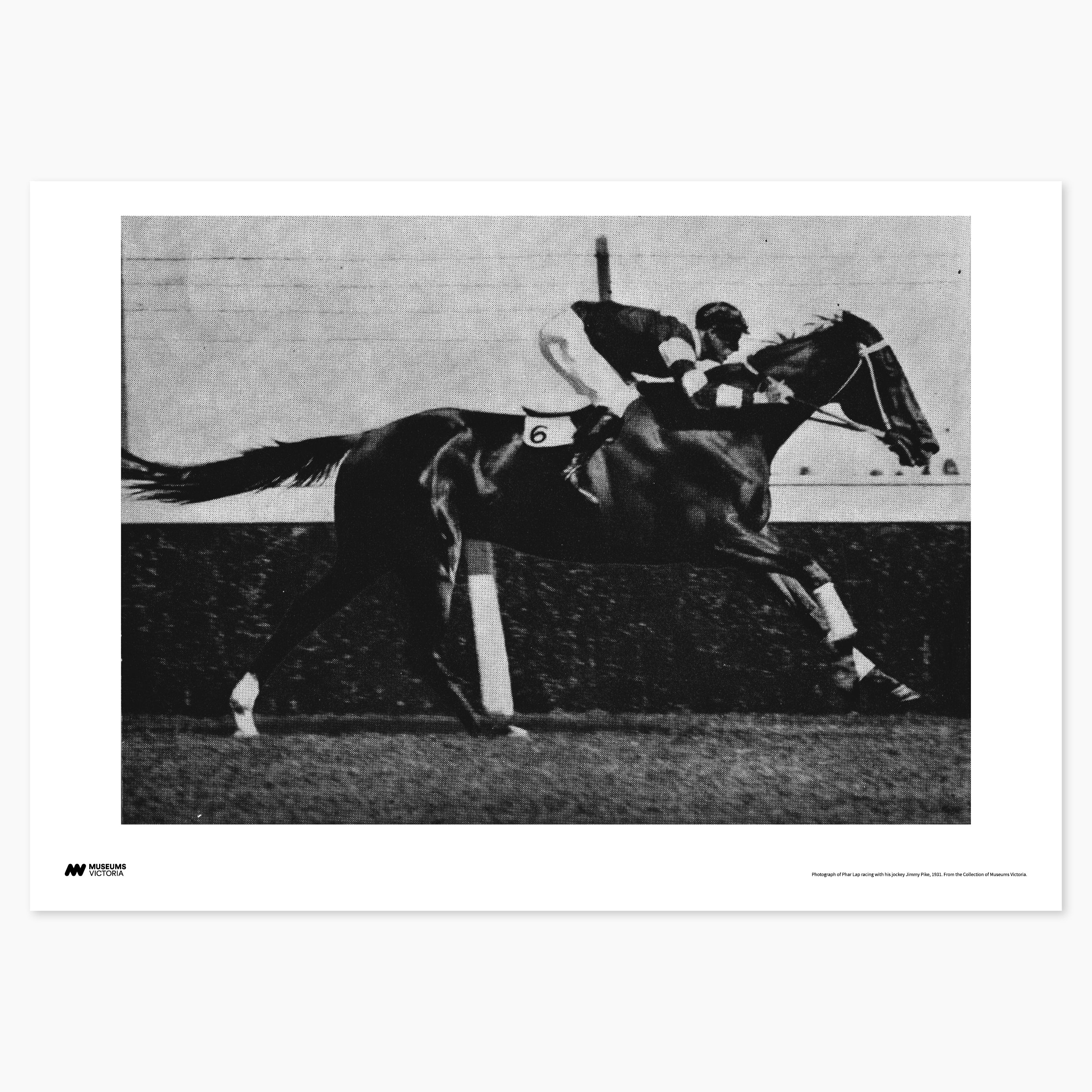 1931 Phar Lap Print - A2