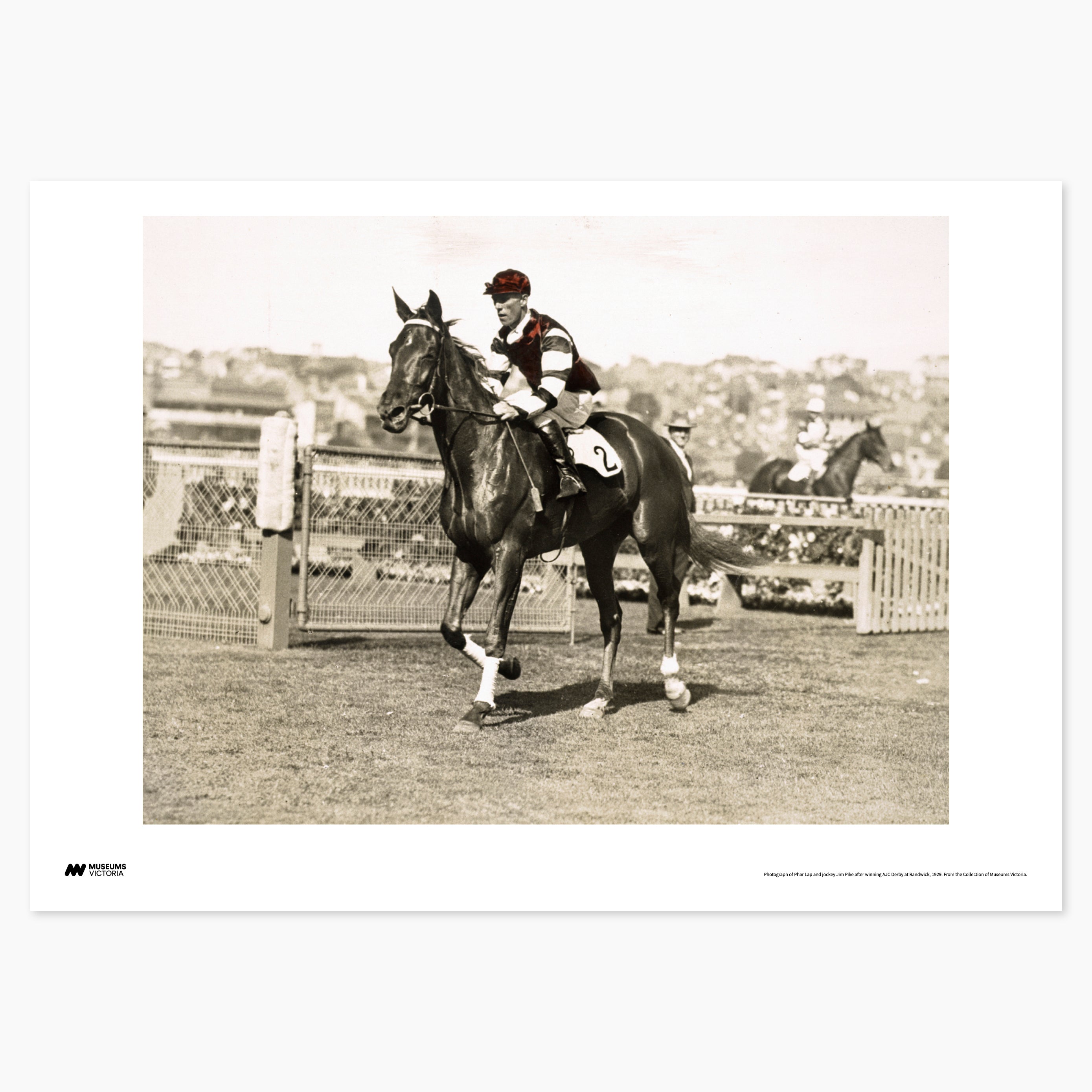1929 Phar Lap Print - A2