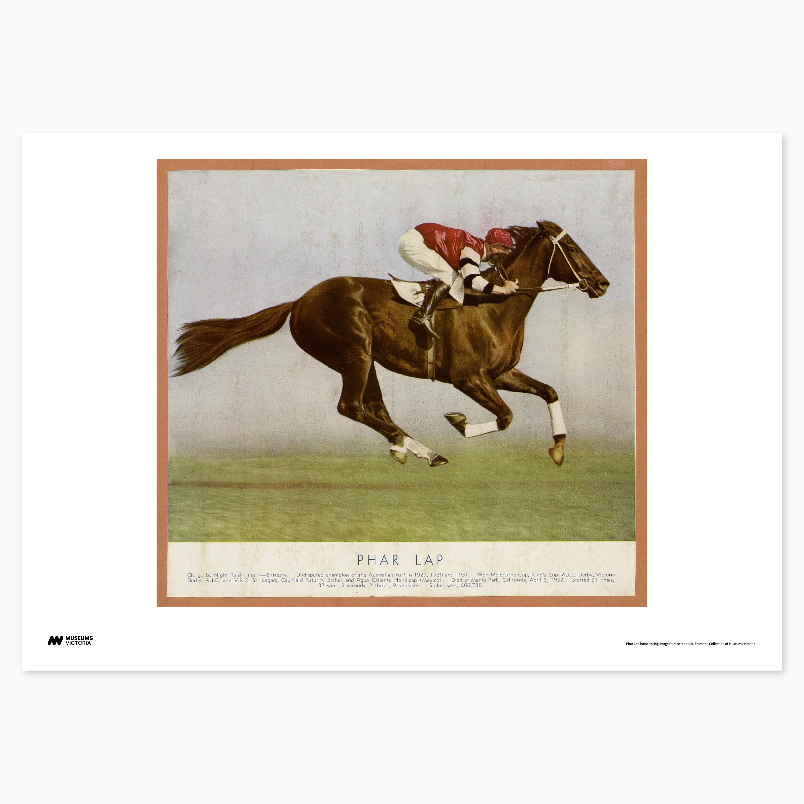 Phar Lap Racing Print - A2
