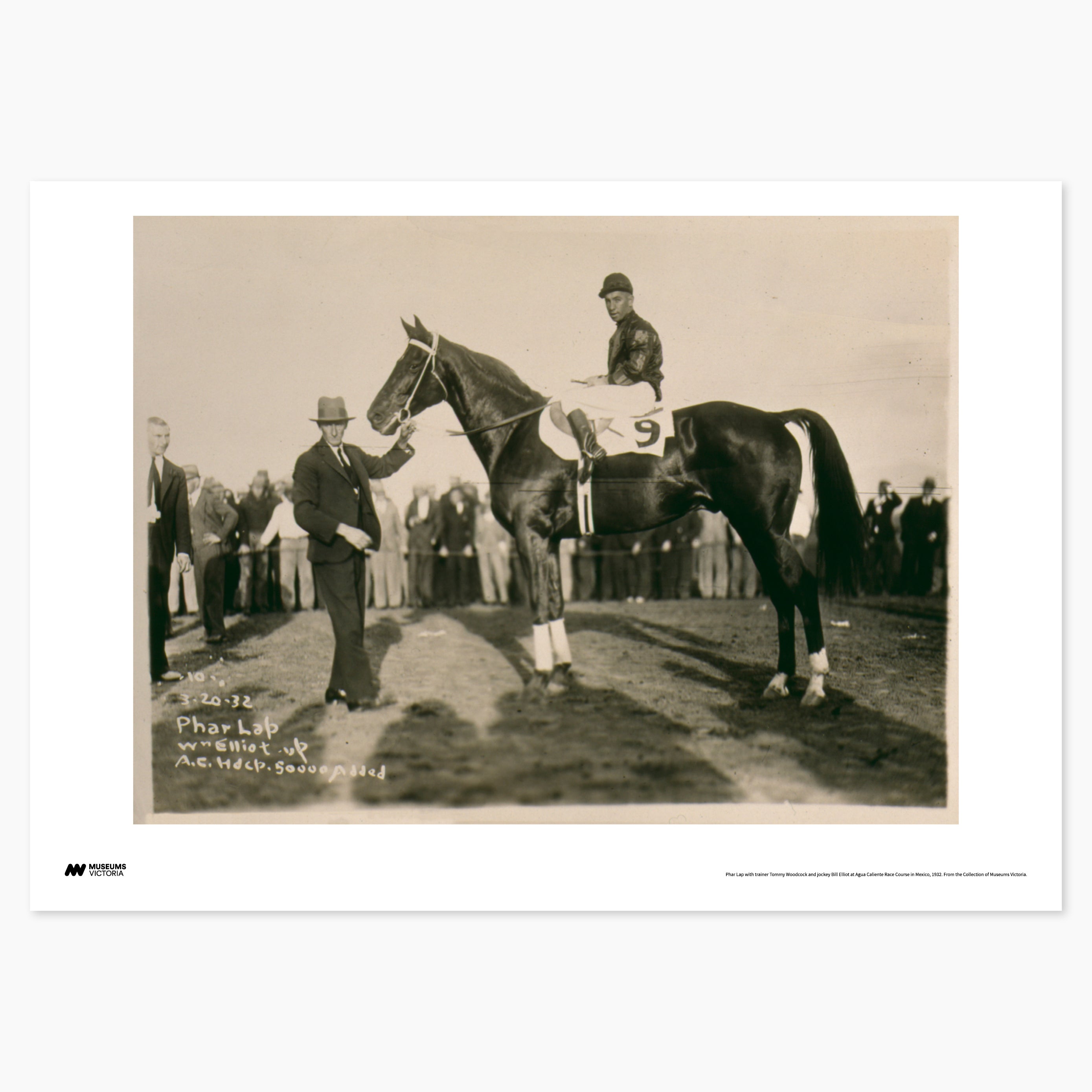 1932 Phar Lap Print - A2