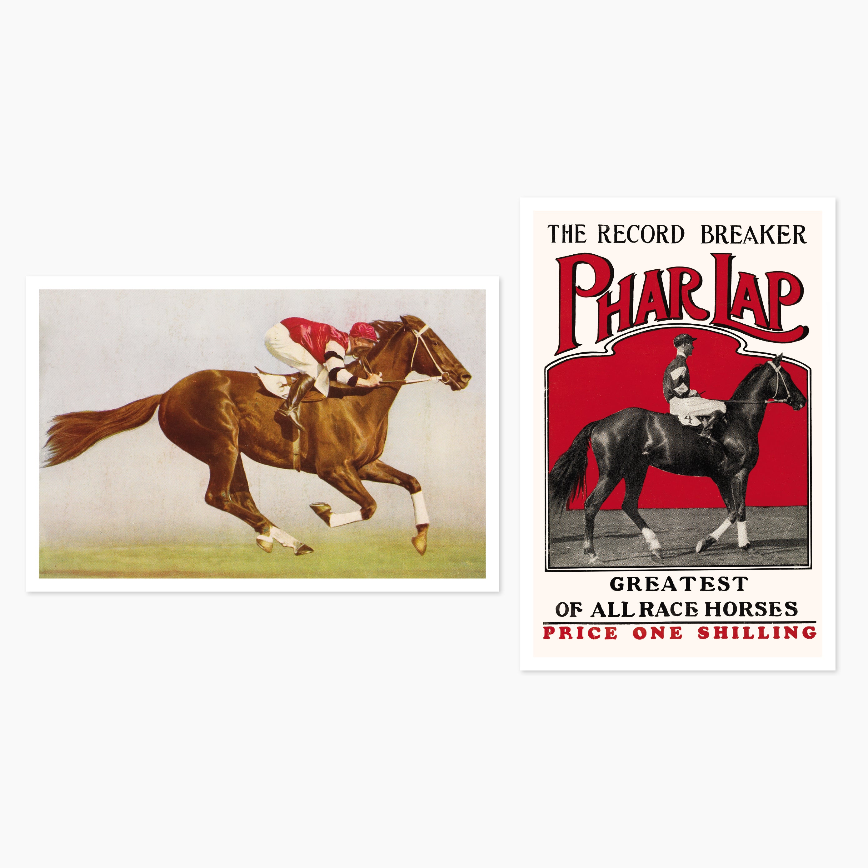 Phar Lap Centennial Postcards