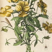 Yellow Flowers with Insects Print - A2