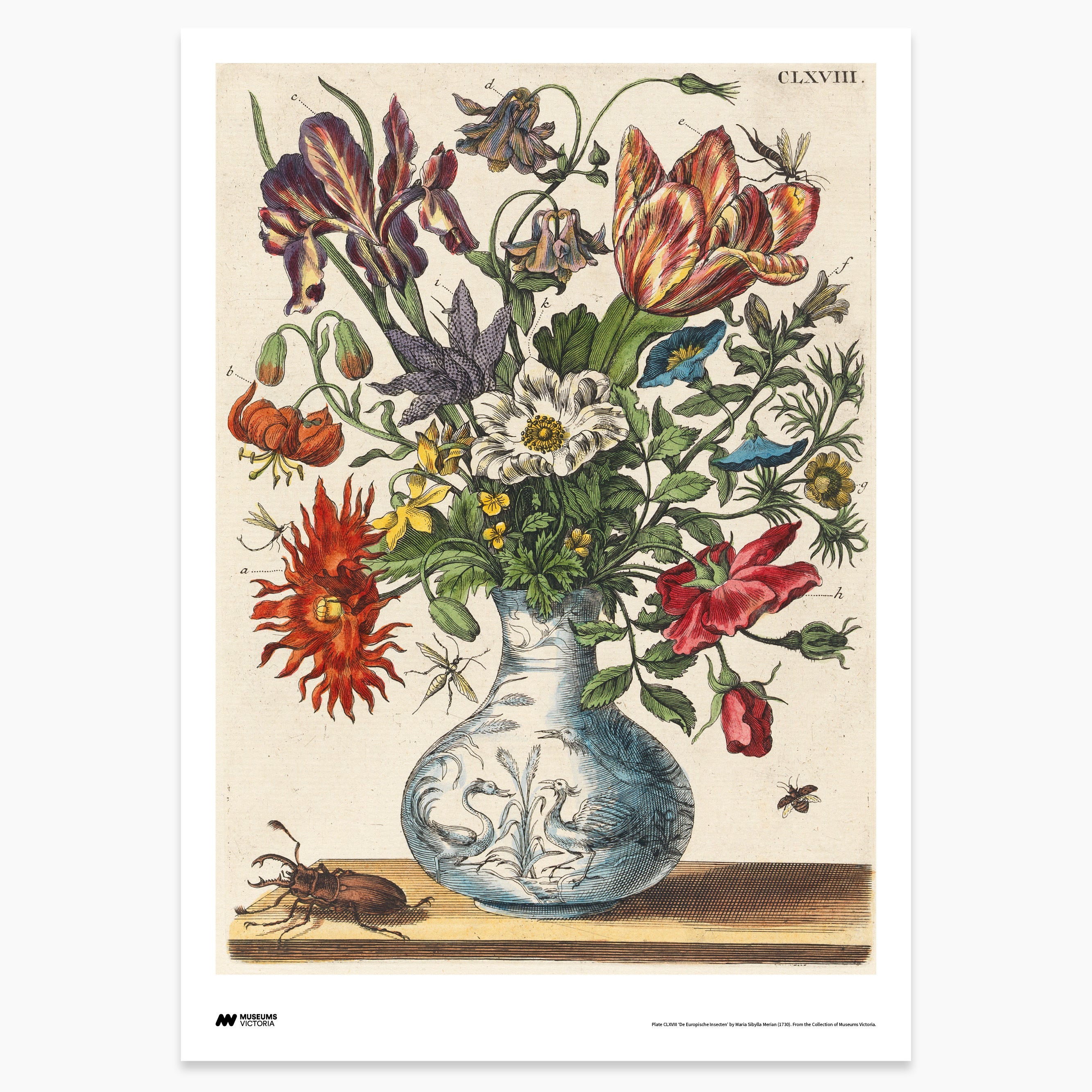 Flowers in Vase with Insects Print - A2