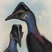 Illustration of two cassowary birds on a beige background