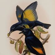 Illustration of two birds on a branch with a beige background