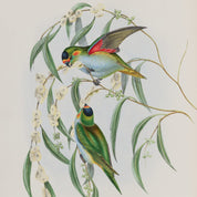 Illustration of two birds perched on a branch with leaves and flowers on a beige background