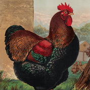 Vintage-style illustration of a rooster on a beige background
