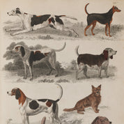Vintage-style poster of various dog breeds on a beige background
