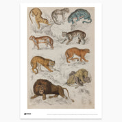 Wild Cats Print - A2