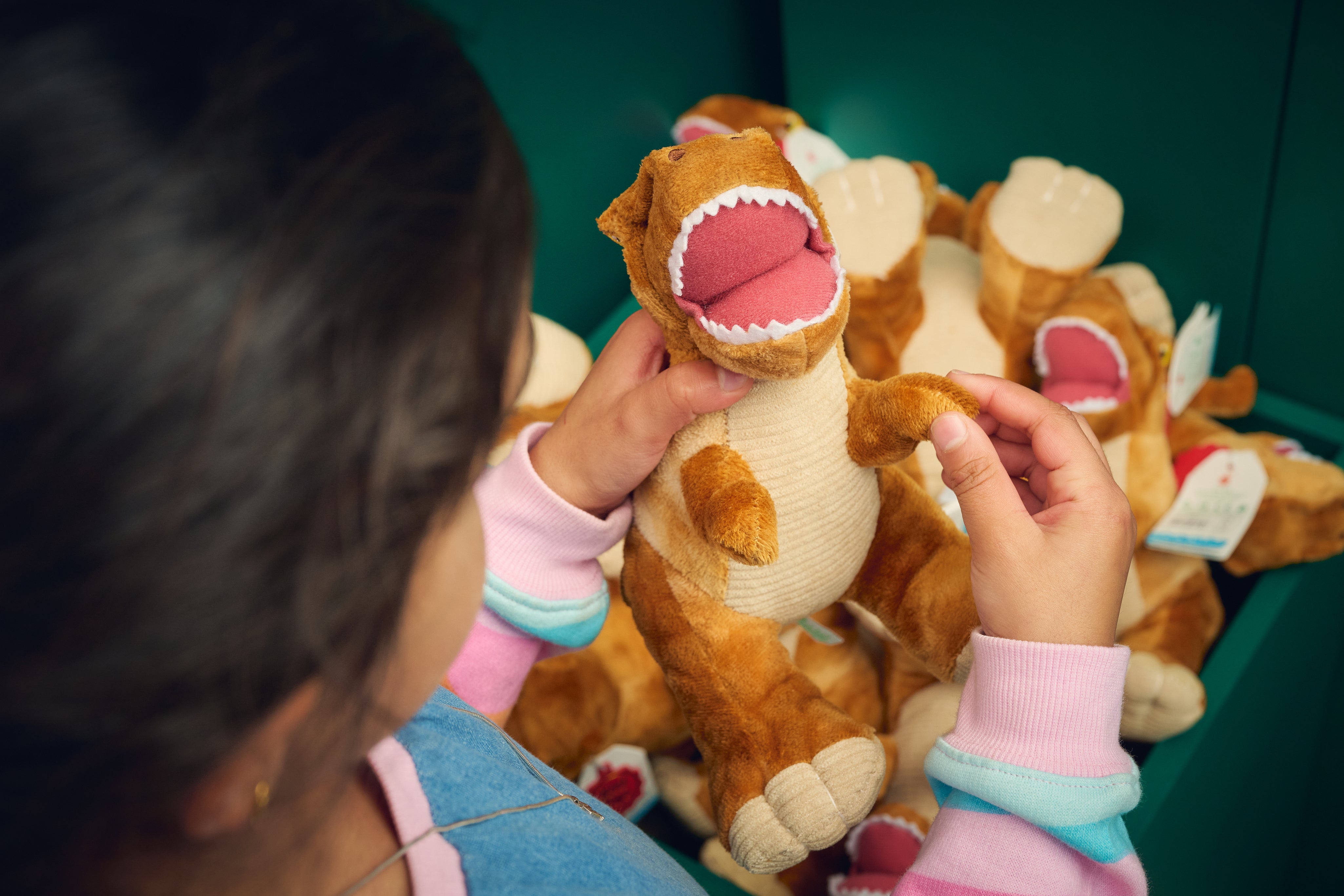 Melbourne Museum T-Rex Plush