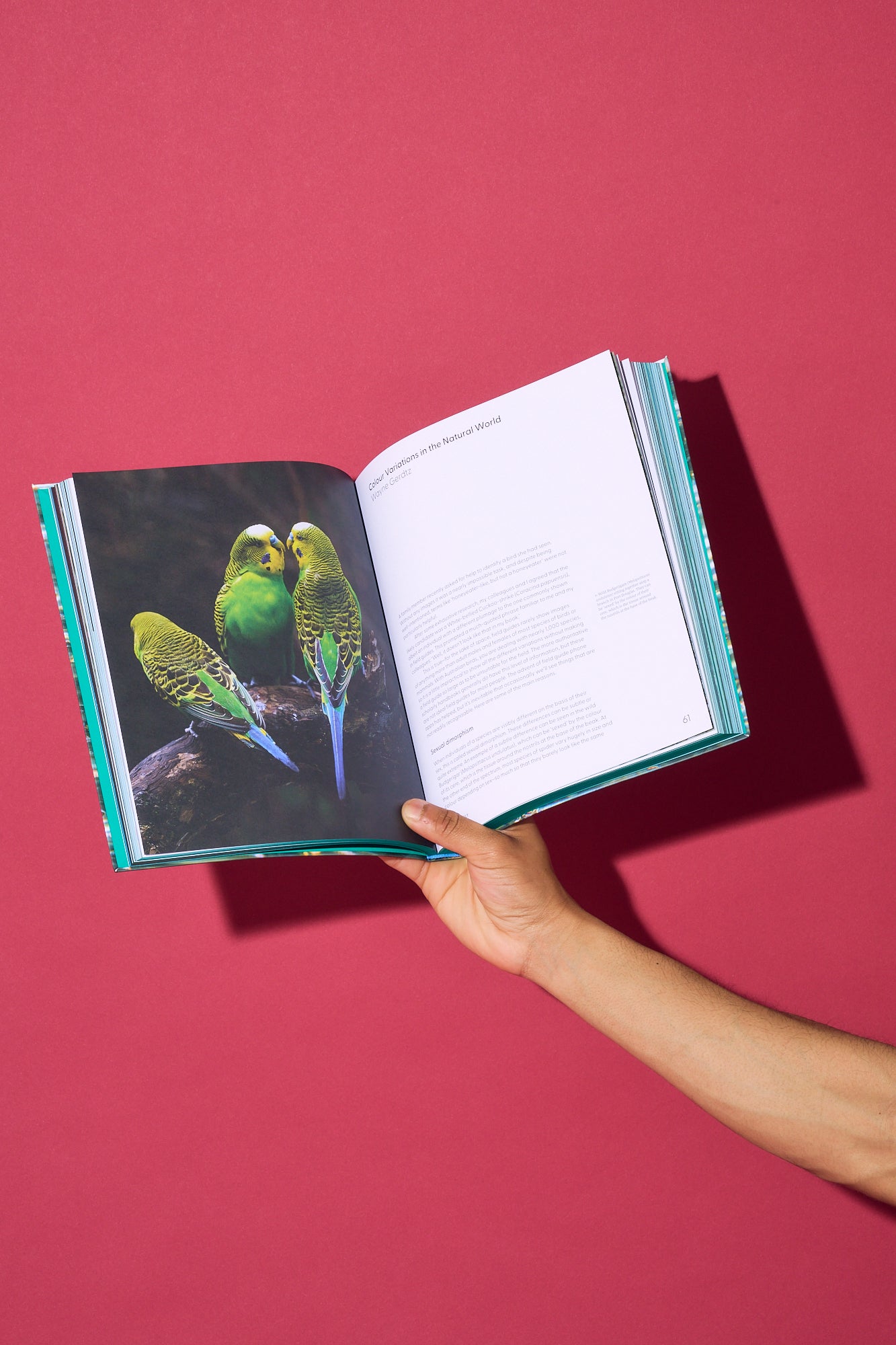 Our Wondrous Planet: Research and Reflections on Our Biodiverse World