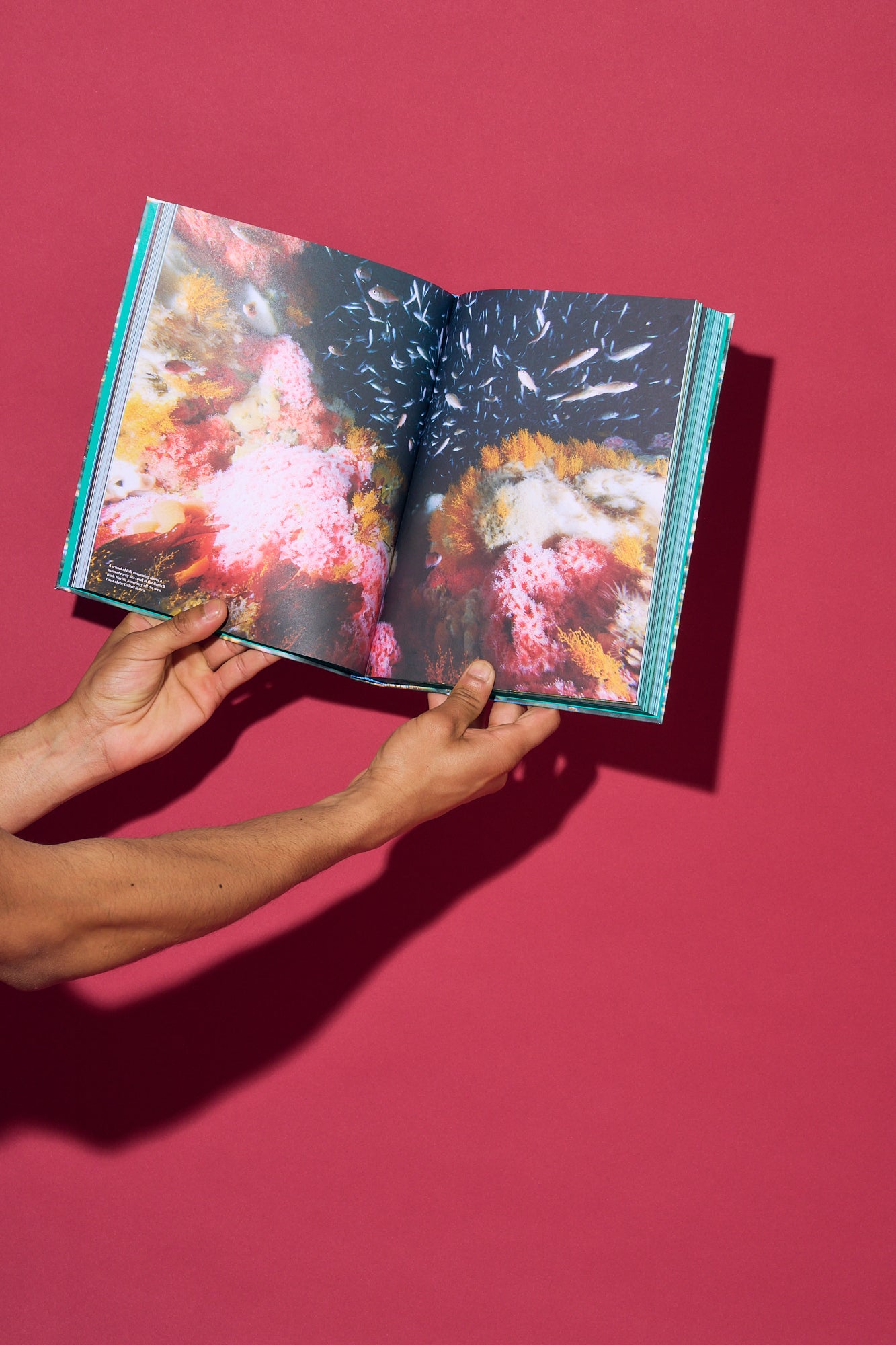 Our Wondrous Planet: Research and Reflections on Our Biodiverse World