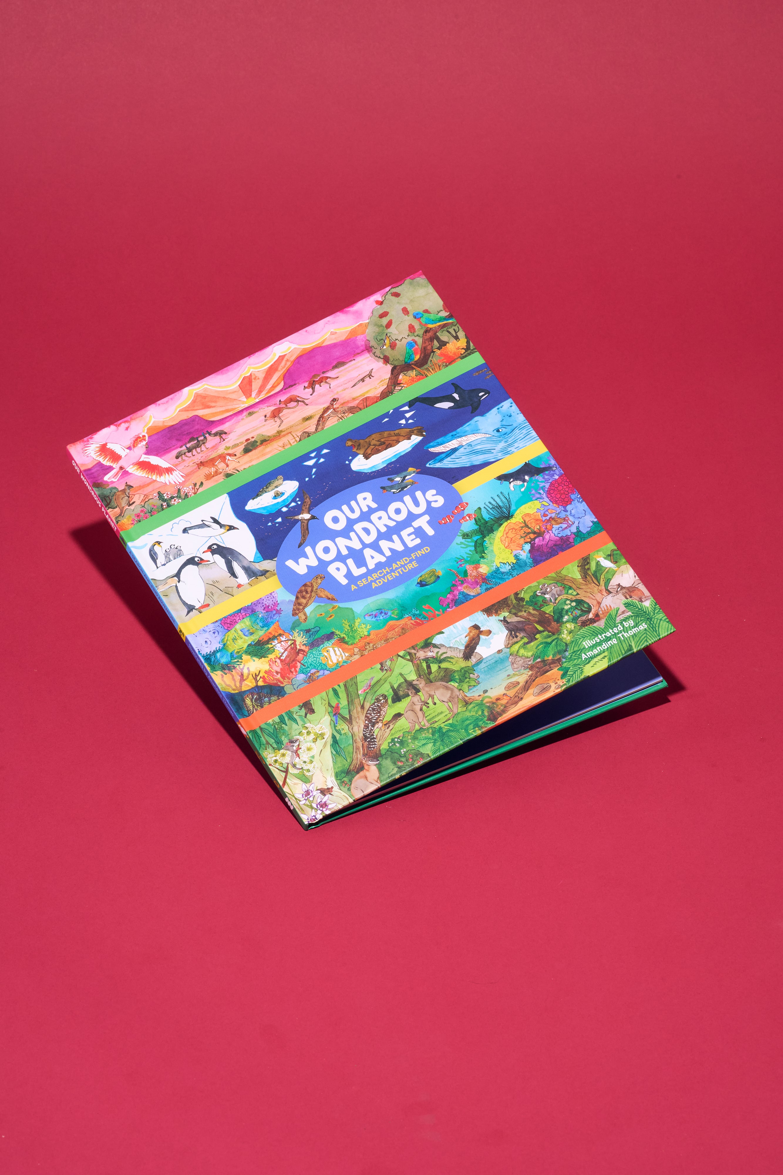 Our Wondrous Planet: A Search-and-Find Adventure