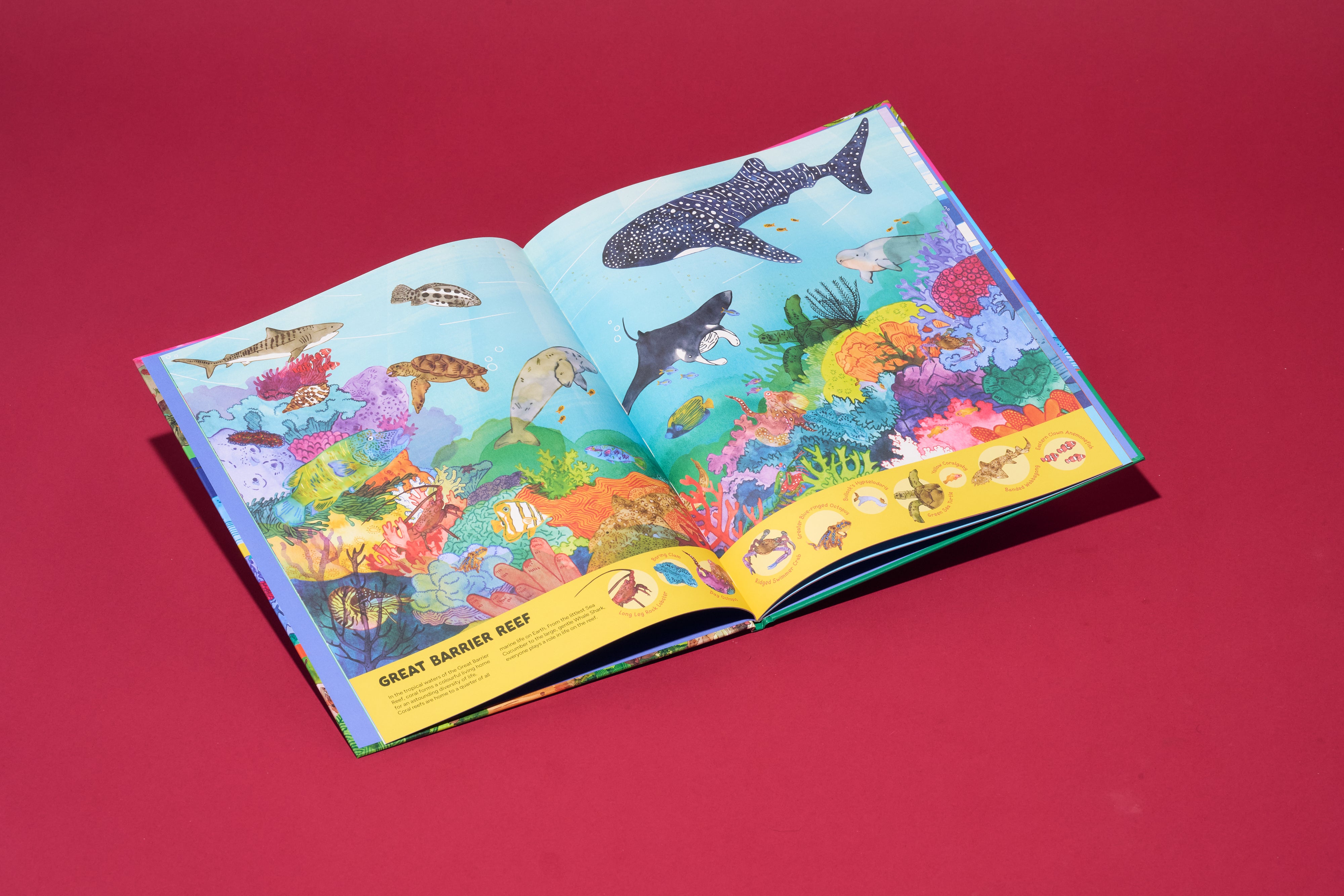 Our Wondrous Planet: A Search-and-Find Adventure