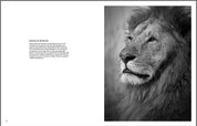 True Wildlife