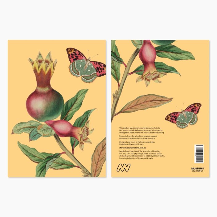 Museums Victoria Rare Book Greeting Cards