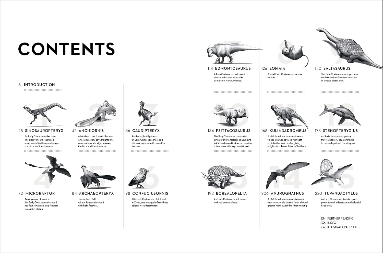 Dinosaurs: New Visions of a Lost World